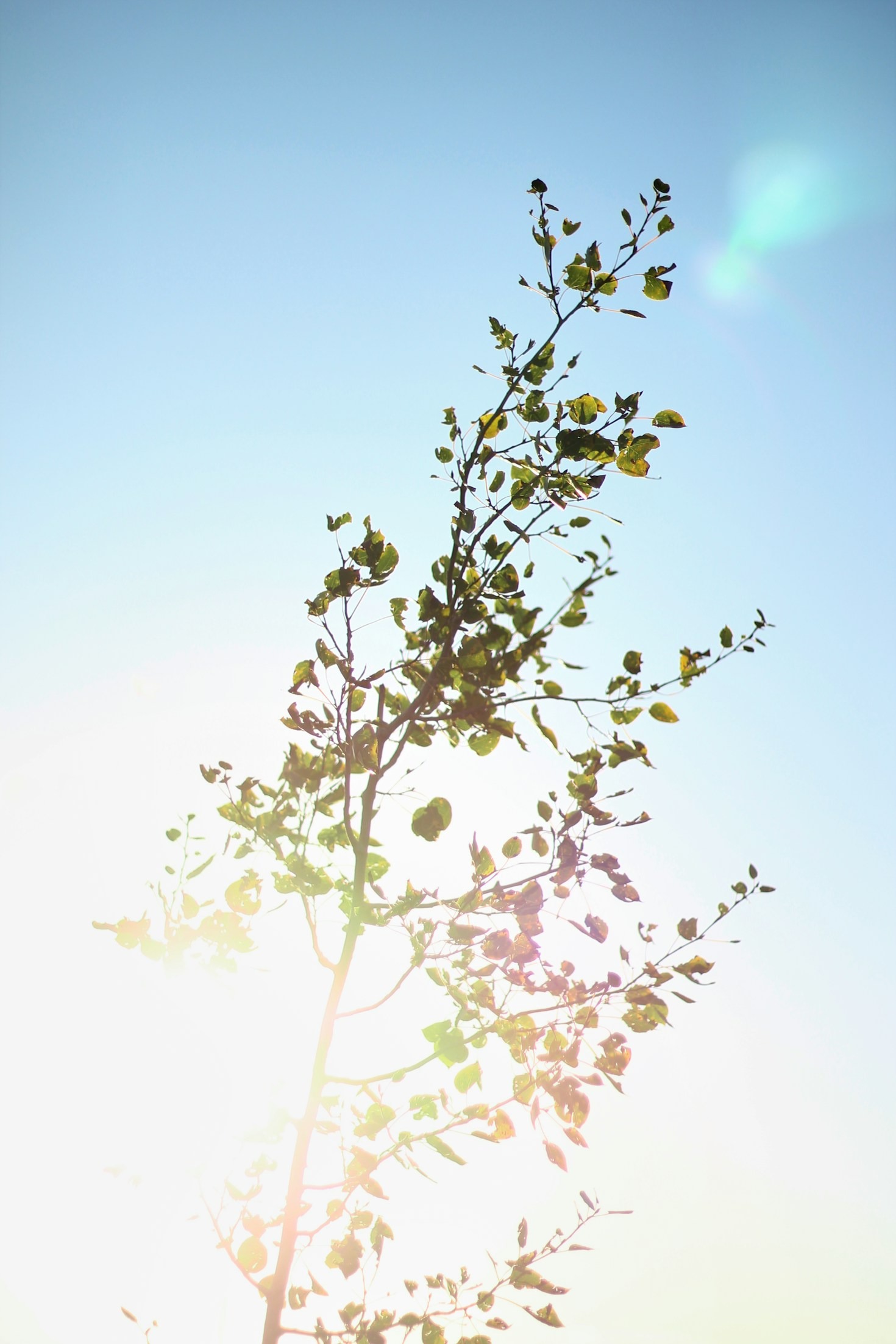 Integrando saúde mental ao ministério cristão